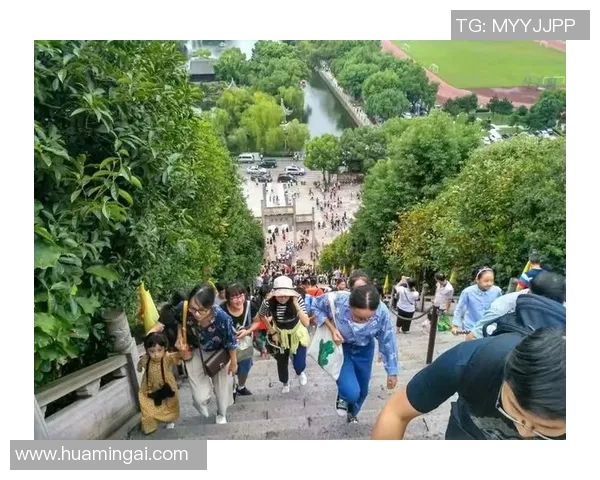 深入分析成都攀岩队区域防守战术的核心理念与实践效果